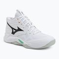 Tinklinio bateliai Mizuno Wave Momentum Pro Mid white/black/frozen emerald