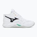 Tinklinio bateliai Mizuno Wave Momentum Pro Mid white/black/frozen emerald 2