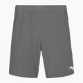 Vyriški šortai Mizuno 8 In Flex Short quiet shade