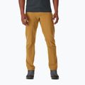 Vyriškos trekingo kelnės Rab Incline Light brown QFV-05