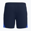 Vyriški maudymosi šortai Speedo HyperBoom Splice 16" true navy/berry 2