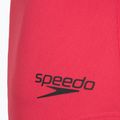 Moteriškas vientisas maudymosi kostiumėlis Speedo Flex Band with Swim Bra raspbery fill/vermilion/punch 9