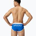 Vyriškos glaudės Speedo Jetstream Retro Logo Brief turkish sea 2