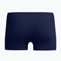 Vyriškos plaukimo trumpikės Speedo Colorblock Square Leg peacot 6