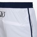Vyriški Speedo Jetstream Retro Logo Volley 16" balti plaukimo šortai 4