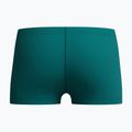 Vaikiškos plaukimo trumpikės Speedo Medley Logo Aquashort deep emerald/alfalfa green 2