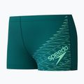 Vaikiškos plaukimo trumpikės Speedo Medley Logo Aquashort deep emerald/alfalfa green 3