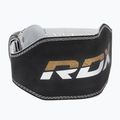 Svorio kilnojmo diržas RDX Belt 6" Leather black/gold