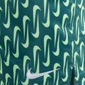 Vyriški maudymosi šortai Nike Swoosh Link 5" Volley bicoastal 3