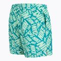 Vyriški maudymosi šortai Nike Tossed 5" Volley vapor green 3