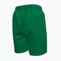 Vaikiški maudymosi šortai Nike Essential 6" Volley stadium green 2
