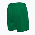 Vaikiški maudymosi šortai Nike Essential 4" Volley stadium green 2