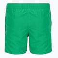 Vaikiški maudymosi šortai Nike Essential 4" Volley stadium green 2