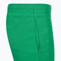 Vaikiški maudymosi šortai Nike Essential 4" Volley stadium green 4