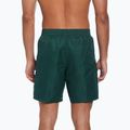 Vyriški maudymosi šortai Nike Swim Breaker 7" Volley fir 3
