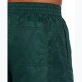 Vyriški maudymosi šortai Nike Swim Breaker 7" Volley fir 6