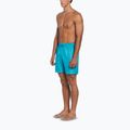 Vyriški maudymosi šortai Nike Swim Breaker 7" Volley dusty cactus 2