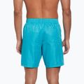 Vyriški maudymosi šortai Nike Swim Breaker 7" Volley dusty cactus 3