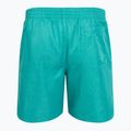 Vyriški maudymosi šortai Nike Swim Breaker 7" Volley dusty cactus 2