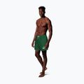 Vyriški maudymosi šortai Nike Lap Logo 5" Volley malachite 2