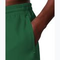 Vyriški maudymosi šortai Nike Lap Logo 5" Volley malachite 5