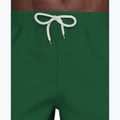 Vyriški maudymosi šortai Nike Lap Logo 5" Volley malachite 6