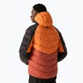 Vyriška pūsta striukė REGATTA Hooded Dalent fox/red ochre 3