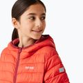 Vaikiška pūsta striukė REGATTA Junior Hooded Marizion red sky/mineral red 4