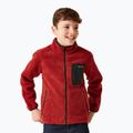 Vaikiškas džemperis REGATTA Junior Frankie Full Zip red ochre