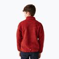 Vaikiškas džemperis REGATTA Junior Frankie Full Zip red ochre 3