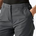 Moteriški žygio šortai REGATTA Chaska III seal grey 4