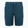 Vyriški žygio šortai REGATTA Leesville III moonlight denim 6
