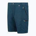 Vyriški žygio šortai REGATTA Leesville III moonlight denim 8