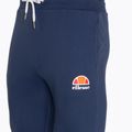 Vyriškos kelnės Ellesse Ovest Jog navy 7