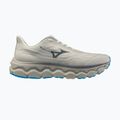 Vyriški bėgimo batai Mizuno Wave Horizon 9 foggy dew/dark slate/blue jewel