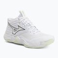 Moteriški tinklinio bateliai Mizuno Wave Momentum Elite Mid white/balsam green/ambrosia