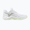 Moteriški tinklinio bateliai Mizuno Wave Momentum Pro white/aqua gray/ambrosia