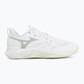 Moteriški tinklinio bateliai Mizuno Wave Momentum Pro white/aqua gray/ambrosia 2