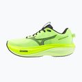 Vyriški bėgimo batai Mizuno Wave Rider 30 lime pulp/black oyster/gf white