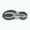 Moteriški bėgimo batai Mizuno Wave Rider 30 balsam green/mentholated/white 2