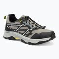 Vyriški trekingo batai REGATTA Blaze grey/black/lime