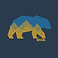 Vyriški marškinėliai REGATTA ClineIX moonlight denim bear 8