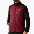 Vyriška 3-in-1 striukė REGATTA Sacramento dark maroon/black 9