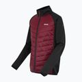 Vyriška 3-in-1 striukė REGATTA Sacramento dark maroon/black 15