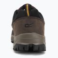Vyriški trekinginiai batai REGATTA Blake Low peat/wood 6