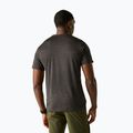 Vyriški trekingo marškinėliai REGATTA Fingal ash marl 3