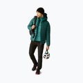 Vyriška pašiltinta striukė Dare 2b Torrek Padded Jacket mediterranea 2