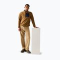 Vyriškas flisinis džemperis REGATTA Frankie Half Zip rich tan/navy 2