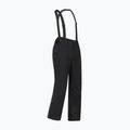 Vyriškos slidinėjimo kelnės Dare 2b Achieve III Pant black 10