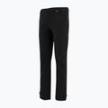 Vyriškos softshell kelnės REGATTA Geo Softshell black 10